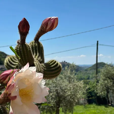 Hébergement de vacances Il Belvedere *